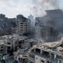 khaligyoun64281