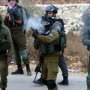 استشهاد فلسطينيين بنيران جيش الاحتلال الإسرائيلي شمالي غزة 2 khaligyoun85264