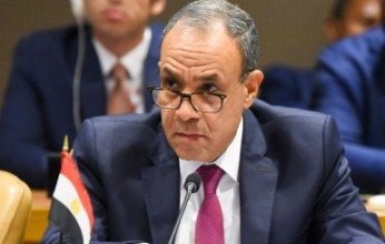 وزير الخارجية المصري يؤكد ضرورة تنفيذ قرار مجلس الأمن الدولي الخاص بغزة