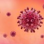 اكتشاف بصمة خلوية مرتبطة بأعراض "كوفيد طويل الأمد" يمهد لعلاجات مستقبلية 6 khaligyoun17524
