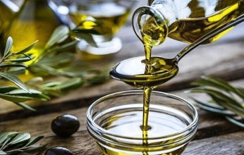 زيت الزيتون البكر الممتاز يدعم صحة الدماغ مع التقدم في العمر