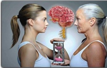 هل يشيخ دماغ الأنسان؟ دراسة علمية تفجر مفاجأة من العيار الثقيل