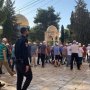 khaligyoun47931