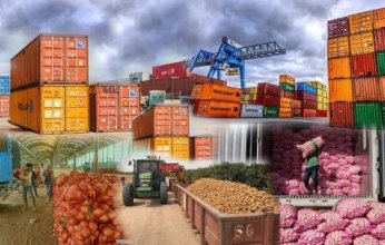 صادرات الصناعات الغذائية المصرية تقفز إلى 6.8 مليار دولار خلال عقد من النمو المتواصل