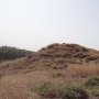 khaligyoun53628