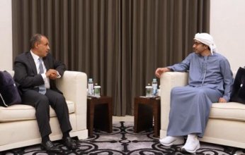 وزيرا خارجية مصر والإمارات يؤكدان دعم اللجنة الوطنية لإدارة غزة وسرعة نشر قوة الاستقرار الدولية