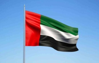 الإمارات تعزي تركيا في ضحايا حادث تحطم طائرة عسكرية