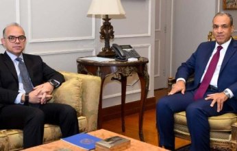 مصر.. وزيرا الخارجية والاستثمار يبحثان تعزيز التنسيق لجذب الاستثمارات وفتح أسواق للصادرات