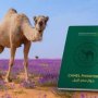 khaligyoun69410