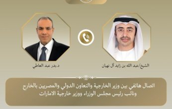 وزير الخارجية المصري يبحث مع نظيره الإماراتي مستجدات التطورات الإقليمية