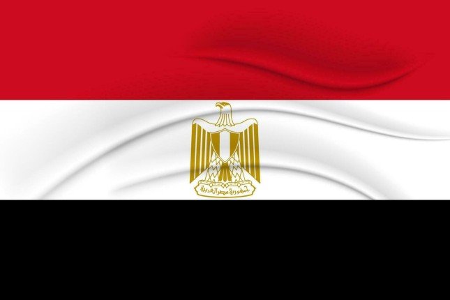 مصر تعرب عن قلقها البالغ إزاء تصاعد التوترات بين باكستان وأفغانستان مصر تعرب عن قلقها البالغ إزاء تصاعد التوترات بين باكستان وأفغانستان