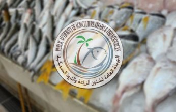 «الزراعة»: استمرار استيراد الأسماك عبر المنافذ البرية بكميات جيدة