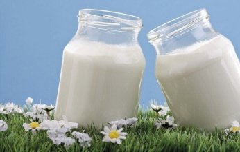 الزبادي المخمر قد يعزز صحة العظام أكثر من منتجات الألبان الأخرى