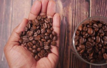مركب طبيعي في القهوة يقي من التهابات اللثة ويعزز صحة الفم