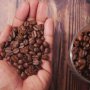 مركب طبيعي في القهوة يقي من التهابات اللثة ويعزز صحة الفم 4 khaligyoun45701