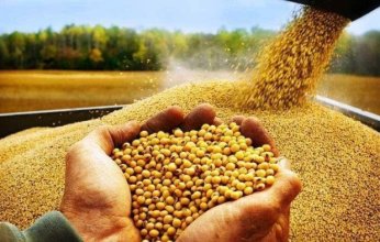 وسط اضطرابات الإقليم.. لماذا ترتفع الأسعار في مصر رغم غياب الحرب؟