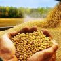 وسط اضطرابات الإقليم.. لماذا ترتفع الأسعار في مصر رغم غياب الحرب؟ 7 khaligyoun58942