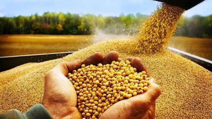 وسط اضطرابات الإقليم.. لماذا ترتفع الأسعار في مصر رغم غياب الحرب؟ وسط اضطرابات الإقليم.. لماذا ترتفع الأسعار في مصر رغم غياب الحرب؟