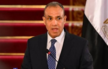 وزير الخارجية يبحث مع وزراء خارجية الإمارات والكويت وإيطاليا الوضع الإقليمى
