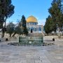 khaligyoun86052
