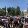 بعد إغلاق استمر 40 يوماً.. الفلسطينيون يؤدون صلاة الجمعة داخل المسجد الأقصى 7 khaligyoun20143