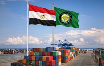 مصر تواصل استقبال الشحنات الأوروبية المتجهة للخليج عبر خط «الرورو»