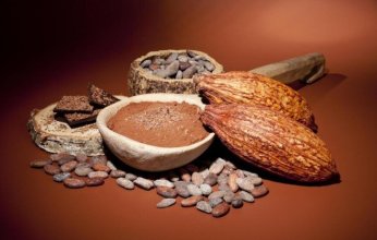دراسة حديثة: الكاكاو يظهر تأثيرًا واعدًا في حماية العين وتعزيز صحة الشبكية