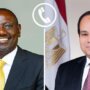 خلال اتصال هاتفي.. الرئيس الكيني يشيد بالدور المصري في دعم السودان واحتواء التوترات الإقليمية وتسوية النزاعات التي تشهدها المنطقة 3 khaligyoun52437