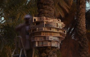 مسقط تحتضن فعالية "الفن والمكان" لتعزيز الإبداع البيئي بمشاركة دولية