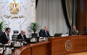 مصر.. بدء تطبيق العمل عن بُعد بالمحافظات تنفيذًا لتوجيهات الحكومة