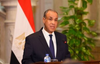 وزير الخارجية: مصر تسعى لجذب الشركات الكورية وزيادة استثماراتها ثلاثة أضعاف