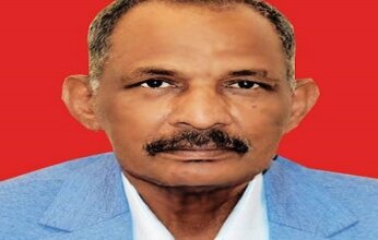 كبرى الحلفايا.. أولويات إعادة الاعمار