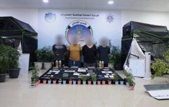 «الداخلية الكويتية»: ضبط مزرعة «ماريغوانا» و4 مواطنين متورطين في حيازة وزراعة مواد مخدّرة