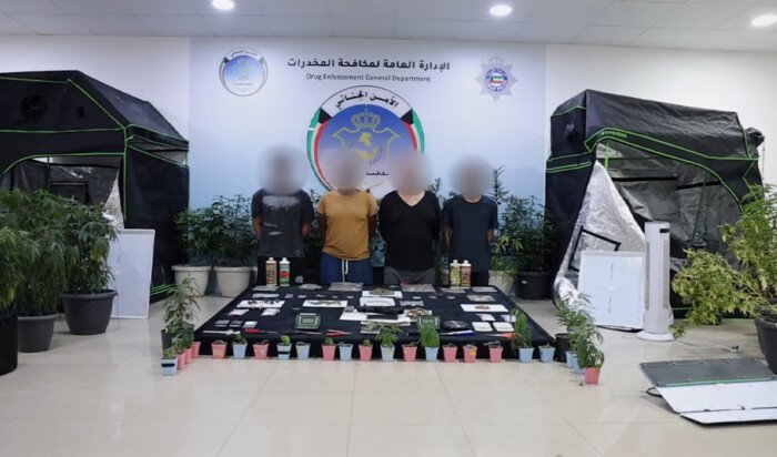 «الداخلية الكويتية»: ضبط مزرعة «ماريغوانا» و4 مواطنين متورطين في حيازة وزراعة مواد مخدّرة «الداخلية الكويتية»: ضبط مزرعة «ماريغوانا» و4 مواطنين متورطين في حيازة وزراعة مواد مخدّرة