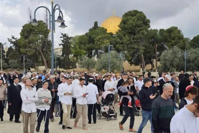 تحذيرات فلسطينية من اقتحامات واسعة ومحاولات لإدخال قرابين إلى المسجد الأقصى تحذيرات فلسطينية من اقتحامات واسعة ومحاولات لإدخال قرابين إلى المسجد الأقصى