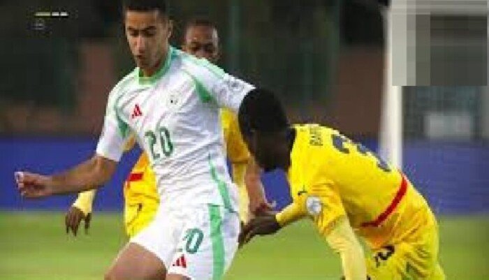 بث مباشر.. مشاهدة مباراة الجزائر وجنوب أفريقيا في كأس أمم أفريقيا للناشئين بث مباشر.. مشاهدة مباراة الجزائر وجنوب أفريقيا في كأس أمم أفريقيا للناشئين