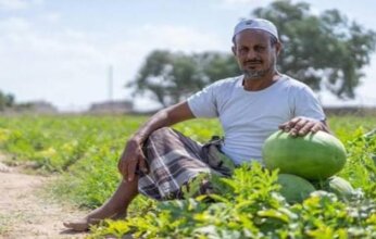 ارتفاع الديزل في اليمن يضاعف الأعباء.. الزراعة والأسواق في مواجهة موجة غلاء جديدة
