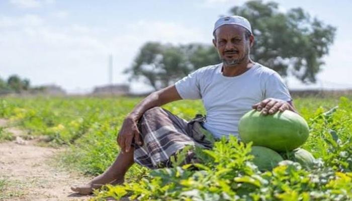 ارتفاع الديزل في اليمن يضاعف الأعباء.. الزراعة والأسواق في مواجهة موجة غلاء جديدة ارتفاع الديزل في اليمن يضاعف الأعباء.. الزراعة والأسواق في مواجهة موجة غلاء جديدة