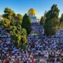 khaligyoun60945