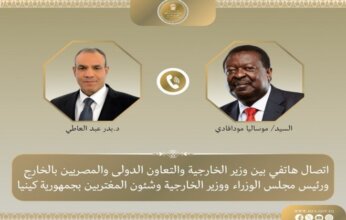 مصر.. وزير الخارجية يبحث مع نظيره الكيني العلاقات الثنائية والقضايا الإقليمية