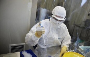 دراسة كندية: احتمال انتقال إنفلونزا الطيور شديدة العدوى عبر حليب الأغنام