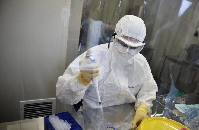 دراسة كندية: احتمال انتقال إنفلونزا الطيور شديدة العدوى عبر حليب الأغنام دراسة كندية: احتمال انتقال إنفلونزا الطيور شديدة العدوى عبر حليب الأغنام