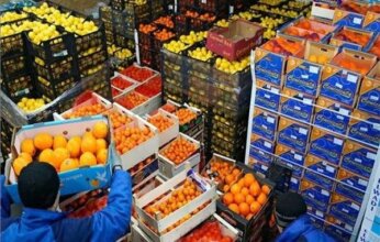 1.47 مليار دولار صادرات الصناعات الغذائية المصرية إلى أكبر 15 سوقًا خلال 4 أشهر