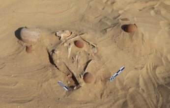 مصر تعلن اكتشاف مقبرتين أثريتين في المنيا تكشفان تطور العمارة الجنائزية عبر العصور