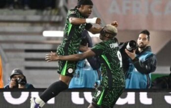 بث مباشر.. شاهد مباراة بولندا ونيجيريا الودية الدولية