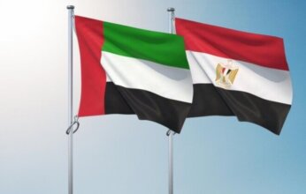 تنسيق مصري إماراتي لاحتواء التوترات الإقليمية وتعزيز أمن الملاحة