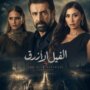 دينا الشربيني تنضم إلى «الفيل الأزرق 3».. إضافة جديدة تشعل حماس الجمهور 11 khaligyoun82643