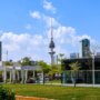 khaligyoun91067