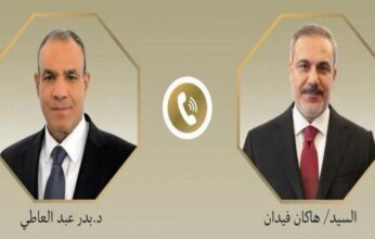 وزيرا خارجية مصر وتركيا يؤكدان أهمية احتواء التوتر بالمنطقة واستعادة المسار التفاوضي