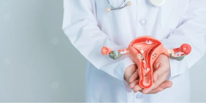 علماء يطورون علاجًا مناعيًا واعدًا لسرطان المبيض باستخدام محفزات الخلايا التائية علماء يطورون علاجًا مناعيًا واعدًا لسرطان المبيض باستخدام محفزات الخلايا التائية